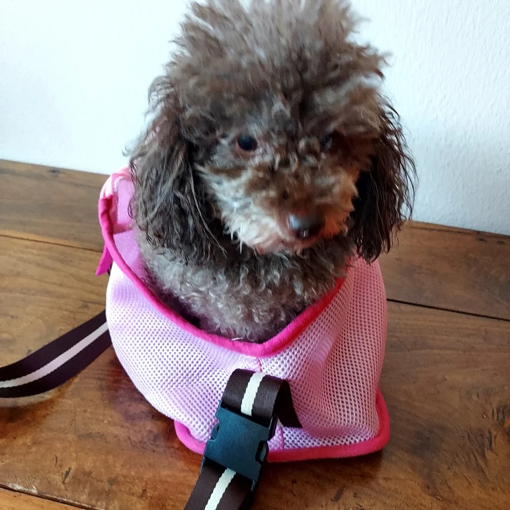 Pink pet carrier